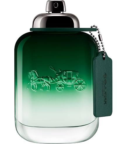 Chanel Égoiste Platinum 100ML EDT | Amazon.com.br
